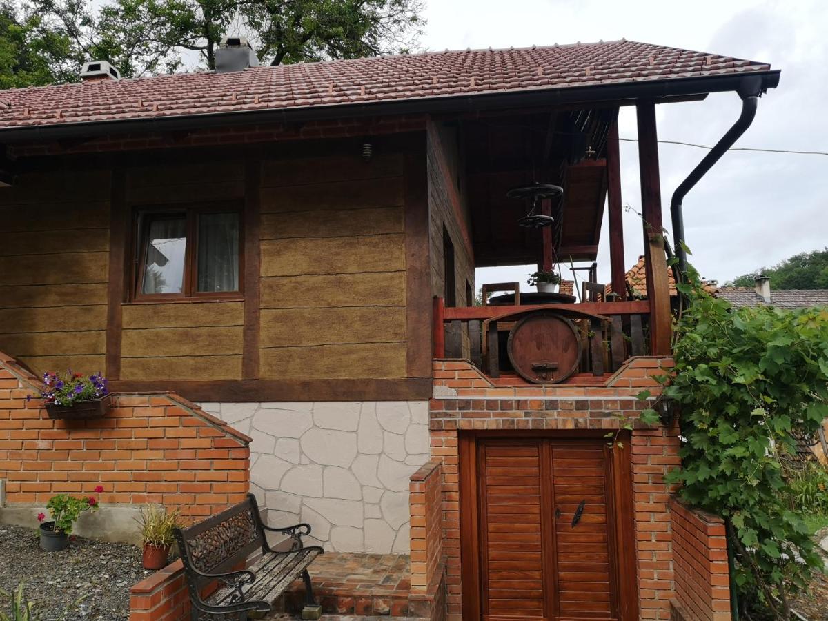 Villa Mirela Maretic Bagian luar foto