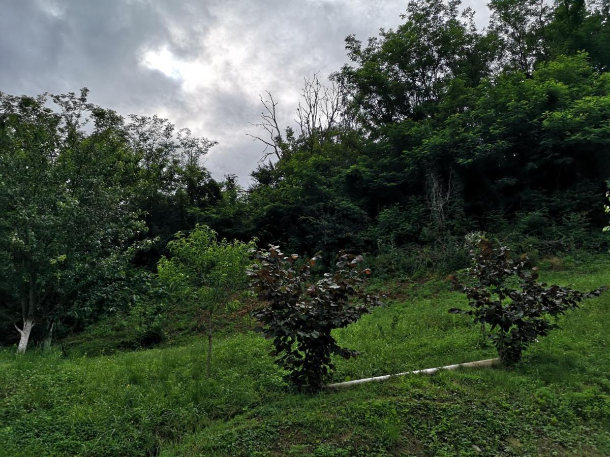 Villa Mirela Maretic Bagian luar foto