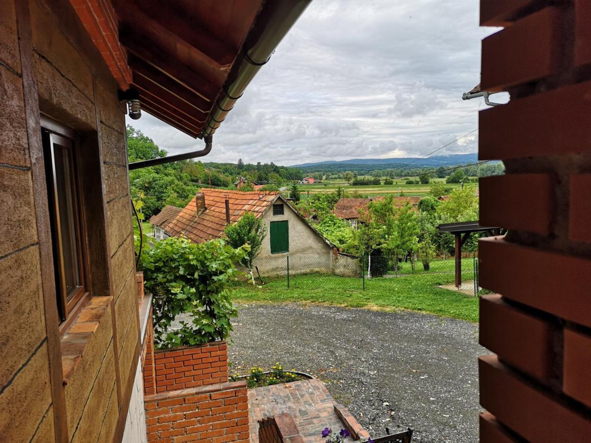 Villa Mirela Maretic Bagian luar foto