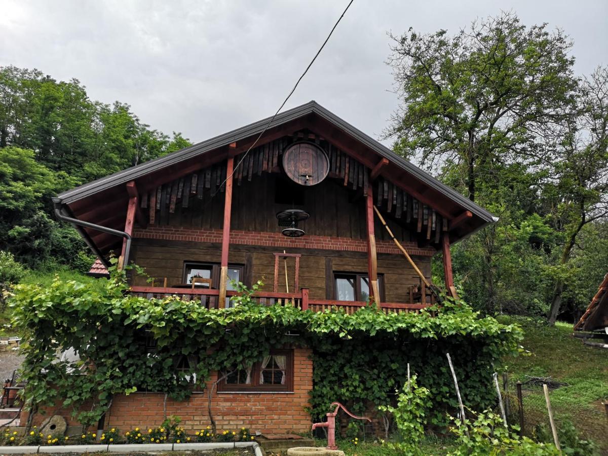 Villa Mirela Maretic Bagian luar foto